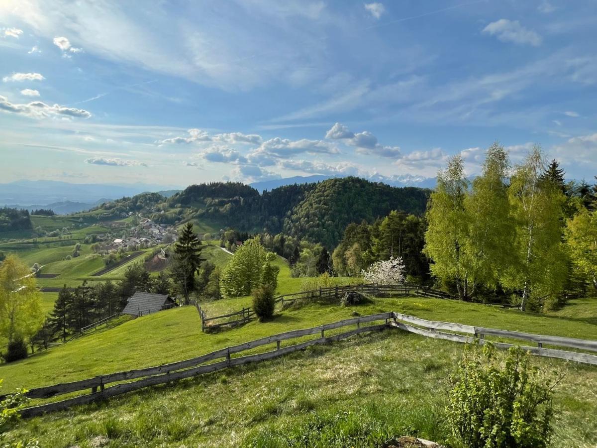 Mountain View Cottage Kamnik Zewnętrze zdjęcie