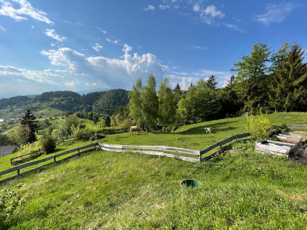 Mountain View Cottage Kamnik Zewnętrze zdjęcie