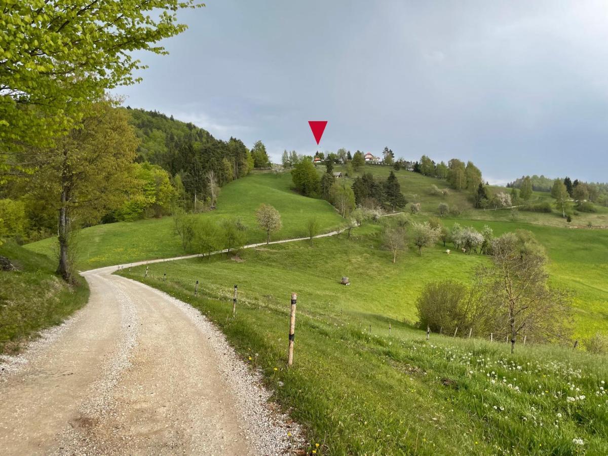 Mountain View Cottage Kamnik Zewnętrze zdjęcie